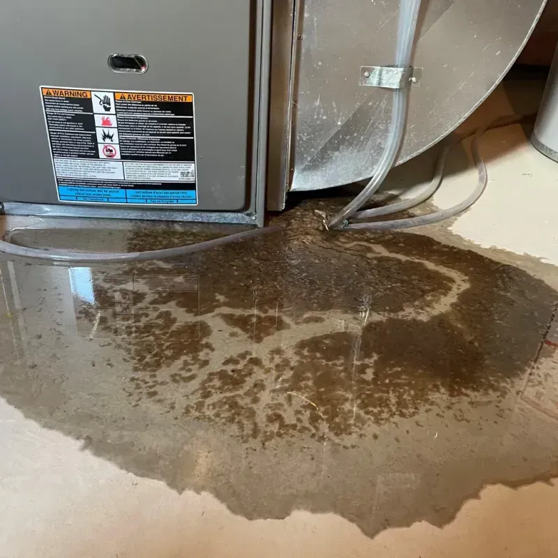 Appliance Leak Cleanup in Crete, IL